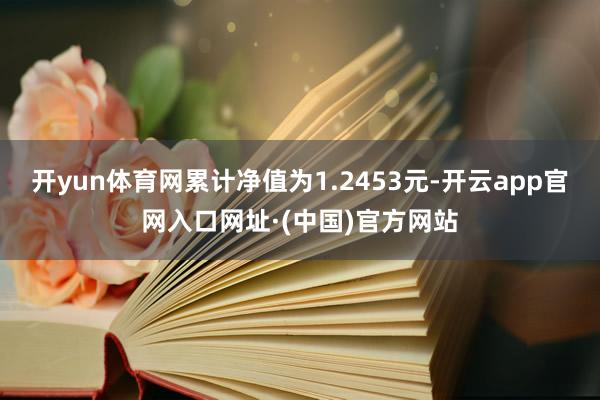 开yun体育网累计净值为1.2453元-开云app官网入口网址·(中国)官方网站