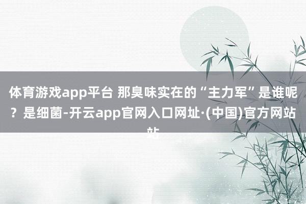 体育游戏app平台 那臭味实在的“主力军”是谁呢？是细菌-开云app官网入口网址·(中国)官方网站