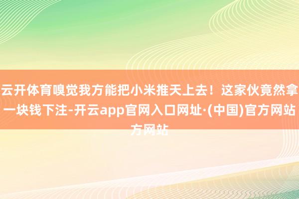 云开体育嗅觉我方能把小米推天上去！这家伙竟然拿一块钱下注-开云app官网入口网址·(中国)官方网站